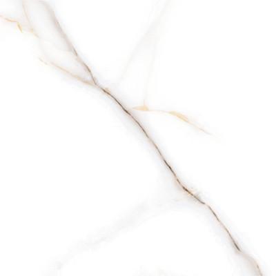 Italian Design Rome Porcelain Wall and Floor Tile