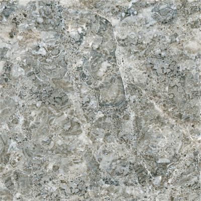 Italian Design Bologna Porcelain Wall and Floor Tile