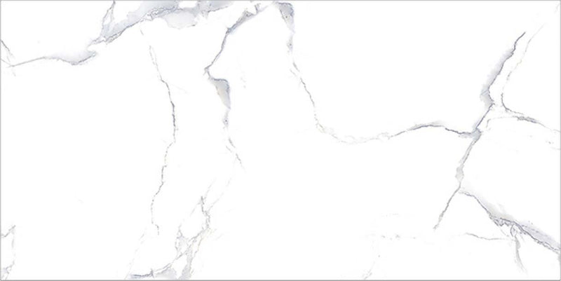 Saturn White 60x120cm Porcelain Floor Tile (12002)