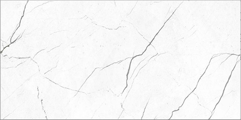 Playa Gris 60x120cm Porcelain Floor Tile (12014)