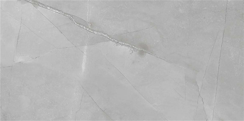 Pulpis Gris 60x120cm Porcelain Floor Tile (12027)