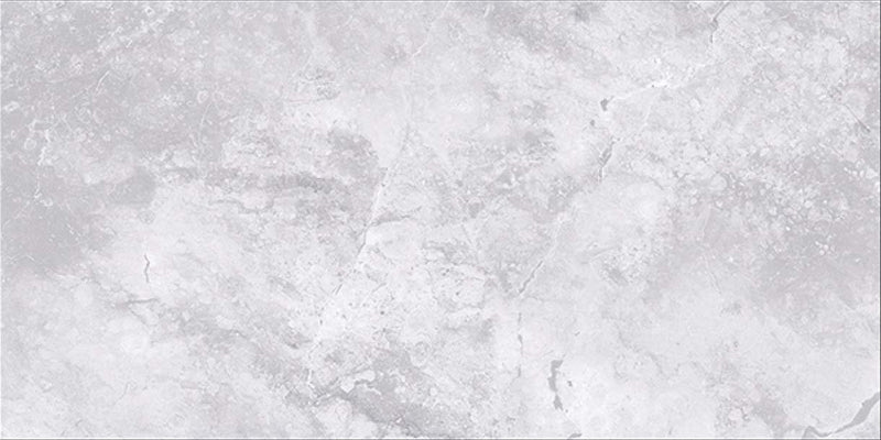 Fox Silver 60x120cm Porcelain Floor Tile (12031)