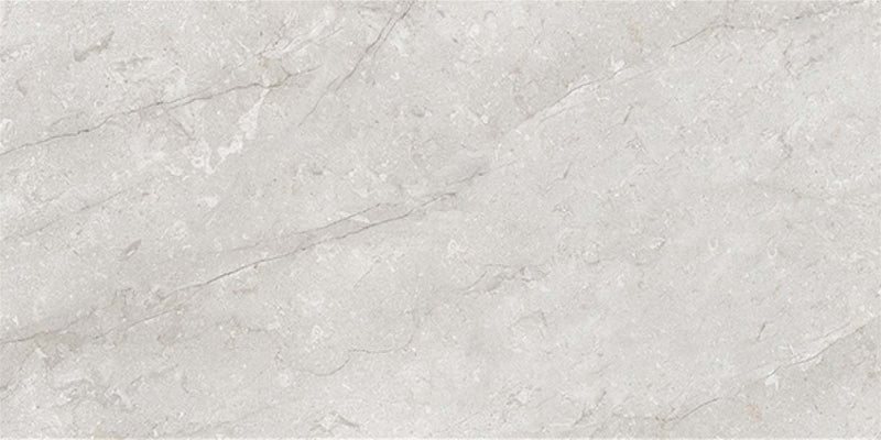 Fabia Gris 60x120cm Porcelain Floor Tile (12037)