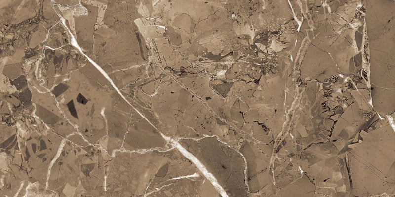 Stonex Brown 60x120cm Porcelain Floor Tile (12301)