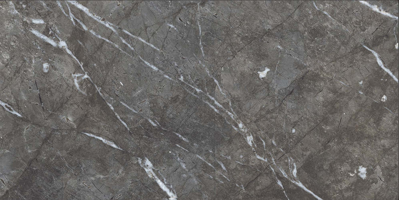 Macho Brown 60x120cm Porcelain Floor Tile (12305)