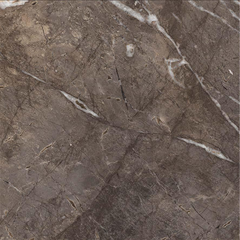Macho Brown 60x60cm Porcelain Floor Tile (12305)
