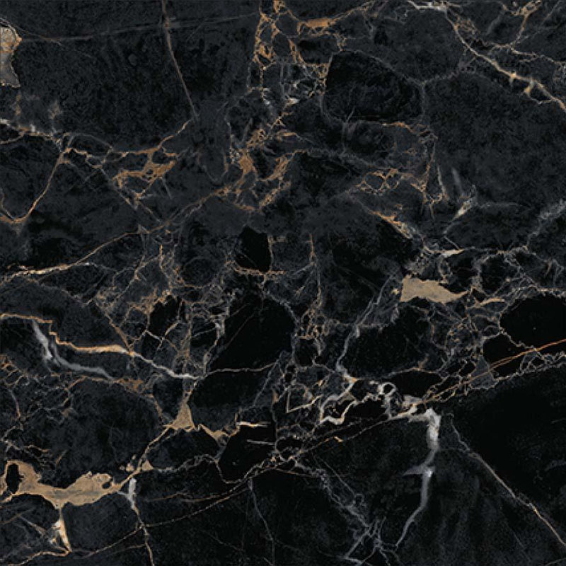 Beauty Nero 60x60cm Porcelain Floor Tile (12306)