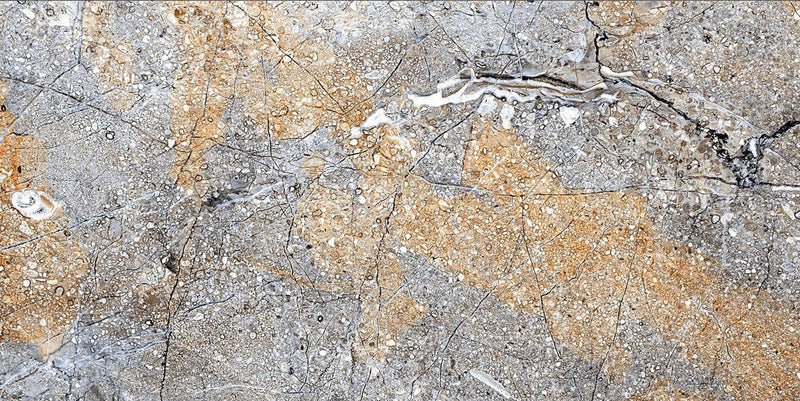 Galaxy Brown 60x120cm Porcelain Floor Tile (12315)