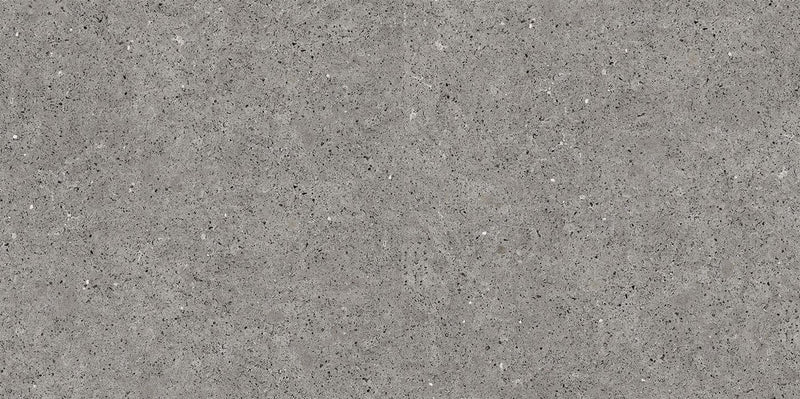Ferdy Gris 60x120cm Porcelain Floor Tile (12505)