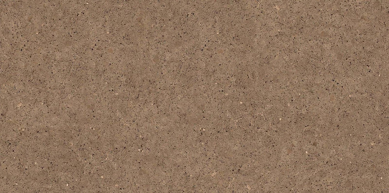 Ferdy Brown 60x120cm Porcelain Floor Tile (12506)