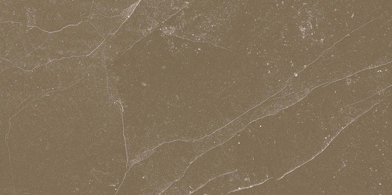 Veronica Brown 60x120cm Porcelain Floor Tile (12517)