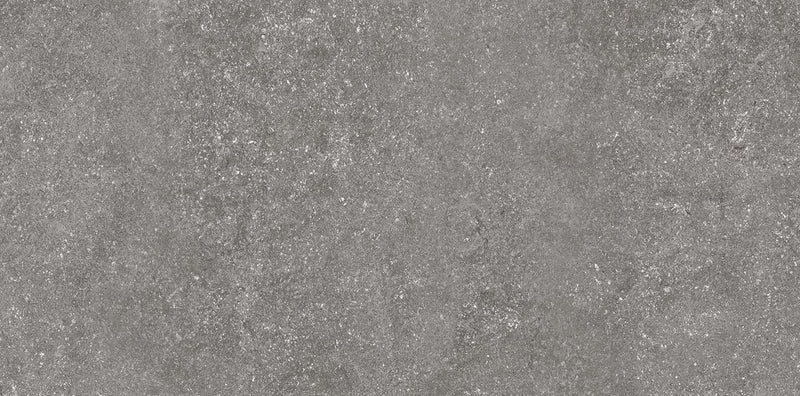 Kores Gris 60x120cm Porcelain Floor Tile (12541)