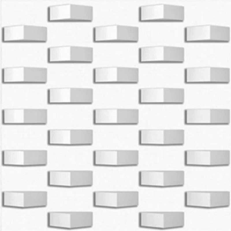 3D 60x60cm Porcelain Wall and Floor Tile (3D07)