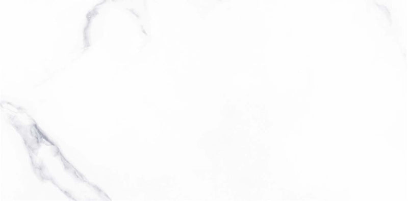 Satvario 40x80cm Porcelain Wall Tile (4001)