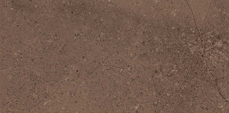 Inbloom Brown 40x80cm Porcelain Wall Tile (4015)