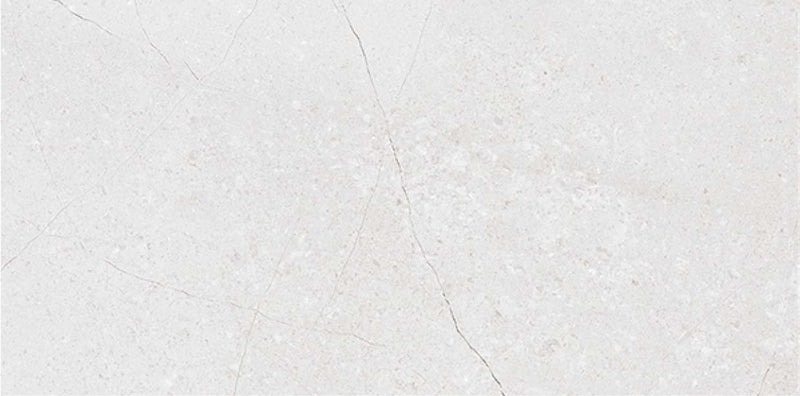 Inbloom Gris 40x80cm Porcelain Wall Tile (4016)