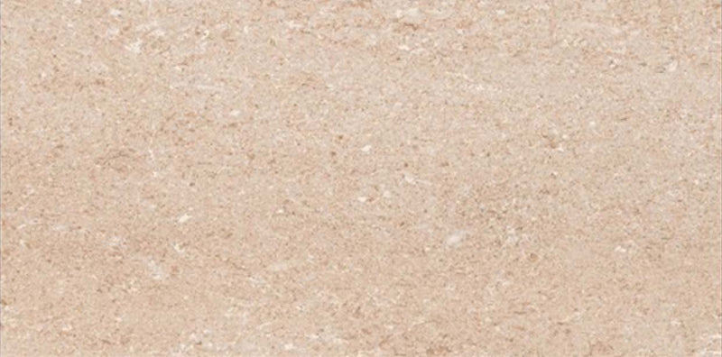 Globle Brown 40x80cm Porcelain Wall Tile (4036)