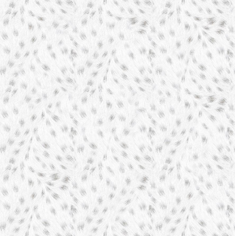 DF Grey Light 60x60cm Porcelain Floor Tile (6025)