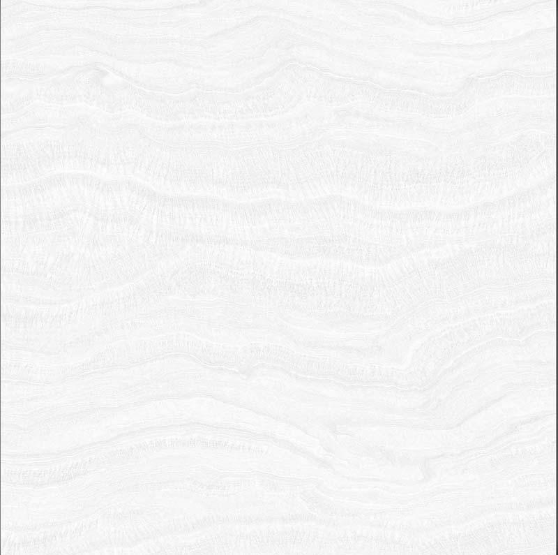 Serpentine Gris 60x60cm Porcelain Floor Tile (6061)