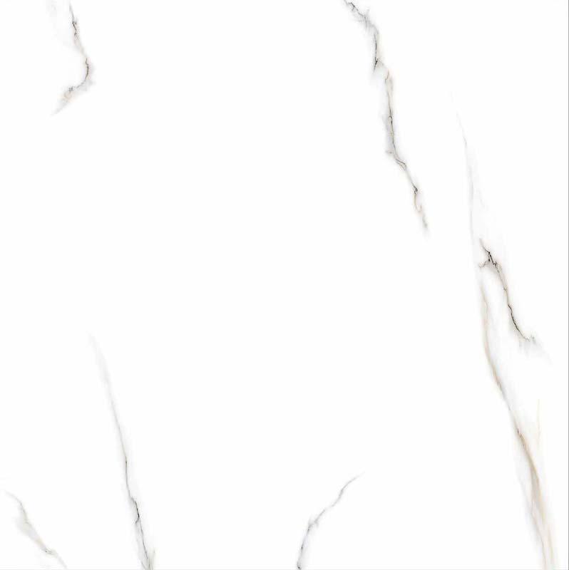 Satvario 60x60cm Porcelain Floor Tile (6072)