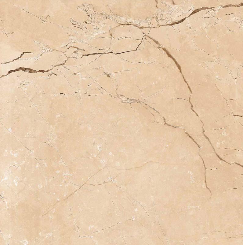 Santosa Brown 60x60cm Porcelain Floor Tile (6091)