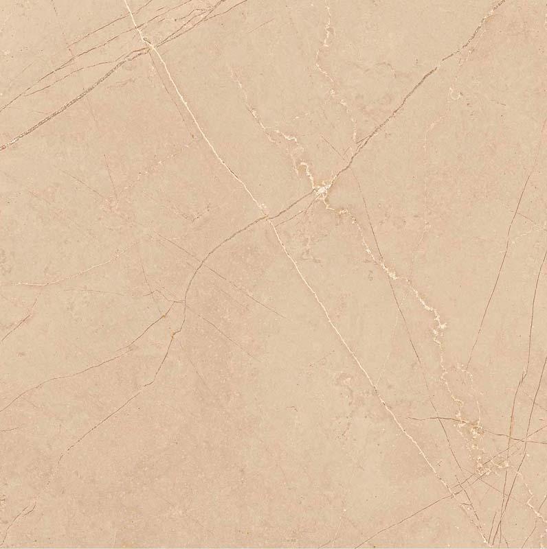 Louis Brown 60x60cm Porcelain Floor Tile (6111)