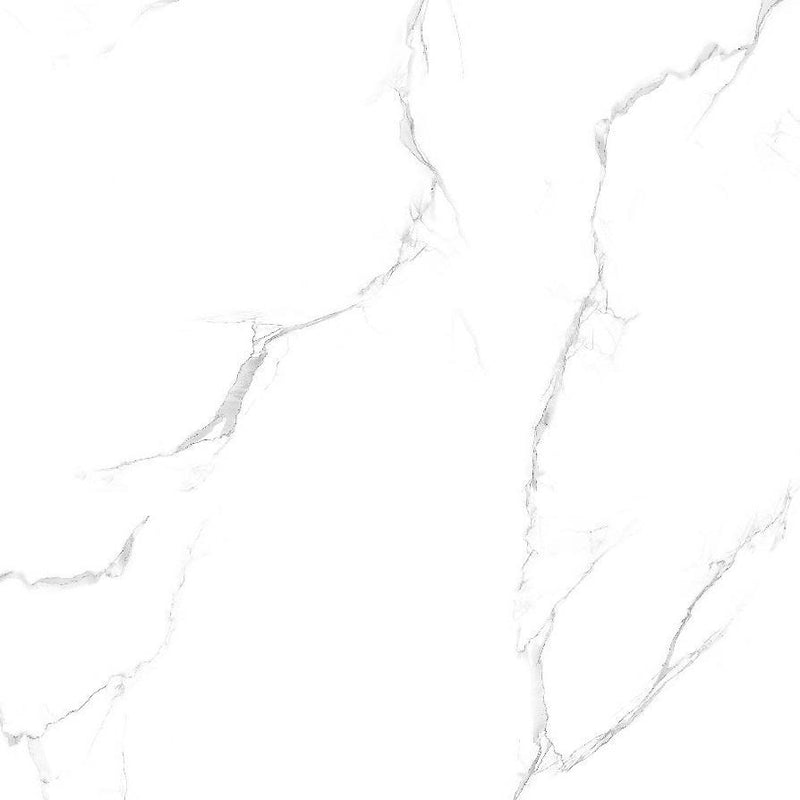 Turkish White 60x60cm Porcelain Floor Tile (6125)