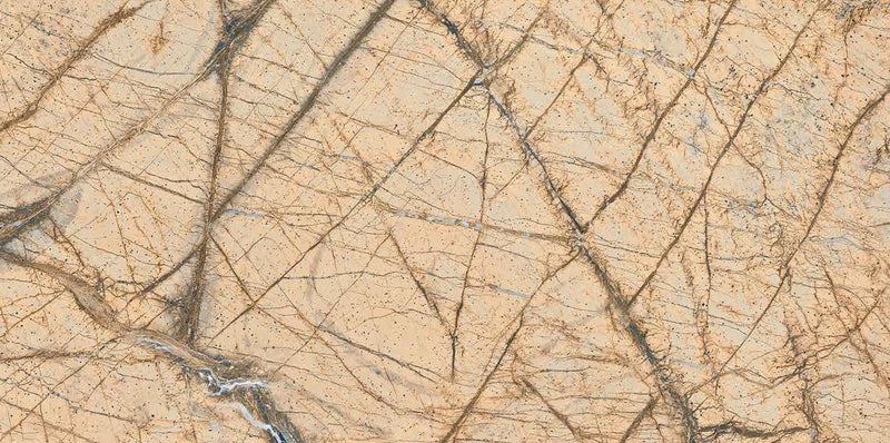 Barbaris Brown DK 30x60cm Porcelain Wall and Floor Tile (GVT Series)