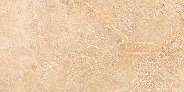 Dyna Brown 30x60cm Porcelain Wall and Floor Tile (PGVT Series)