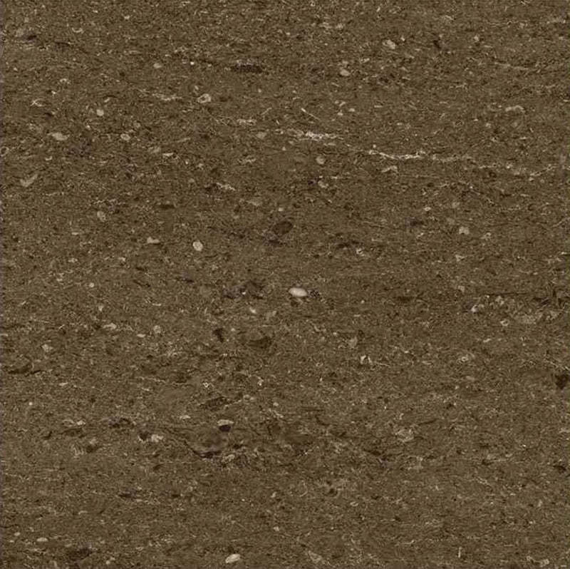 Ontario Brown 40x40cm Porcelain Floor Tile (Parking Series)