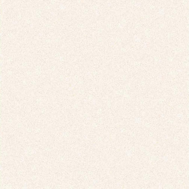 Petra Brown Light 40x40cm Porcelain Floor Tile (Parking Series)