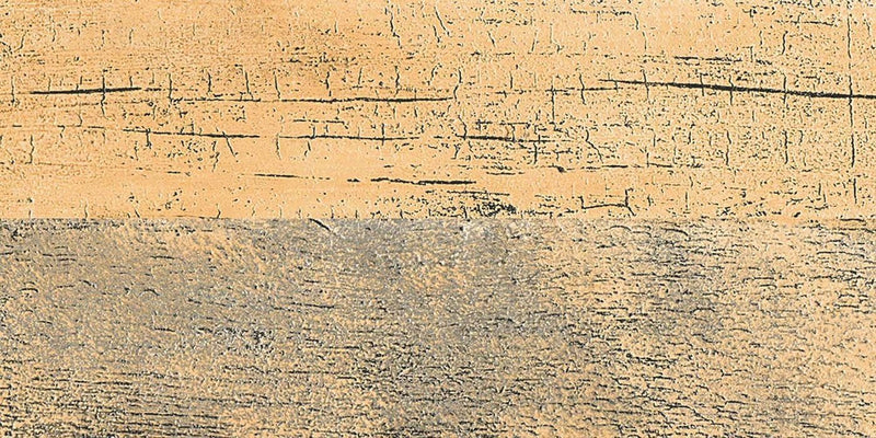 Wood 09 30x60cm Porcelain Wall and Floor Tile (Wood Series)