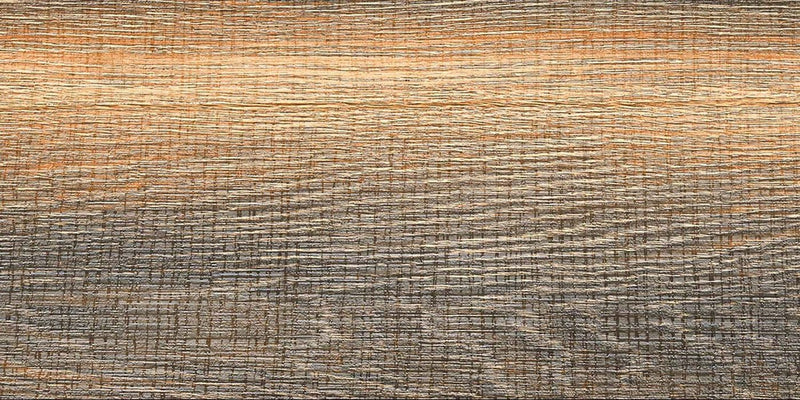 Wood 22 30x60cm Porcelain Wall and Floor Tile (Wood Series)