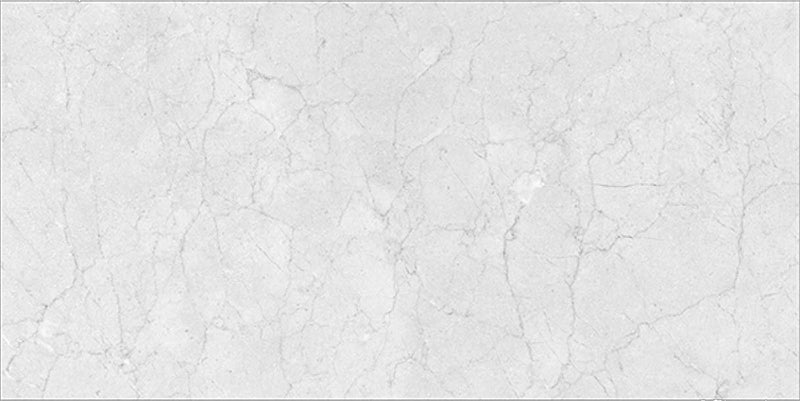 Nexus Gris 60x120cm Porcelain Floor Tile (12015)