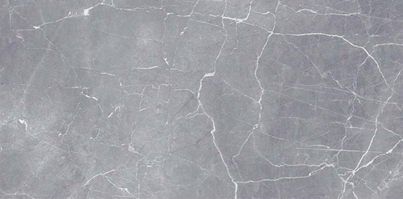 Alba Grey 60x120cm Porcelain Floor Tile (12057)