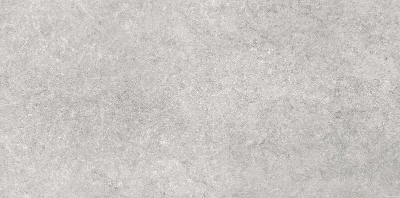 Sandstone Gris 60x120cm Porcelain Floor Tile (12550)