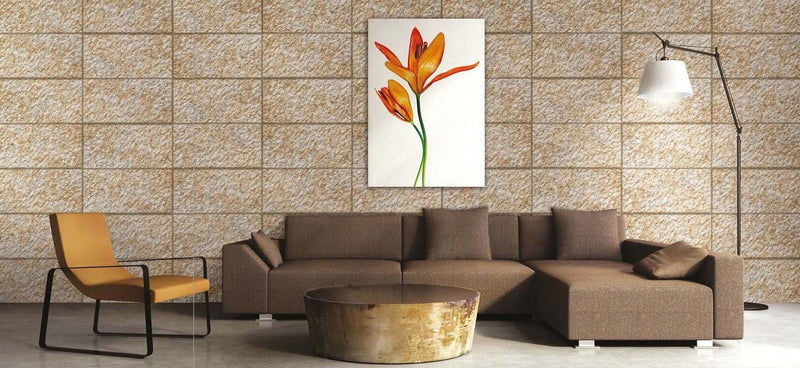 Dumite Creama 30x60cm Porcelain Wall Tile (Elevation Series)